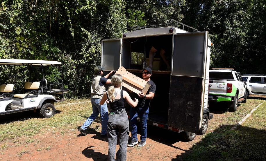 Foto de agentes em resgate de fauna