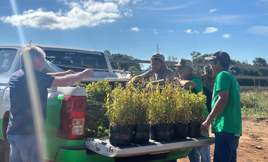 Foto de ação educativa da semana do meio ambiente