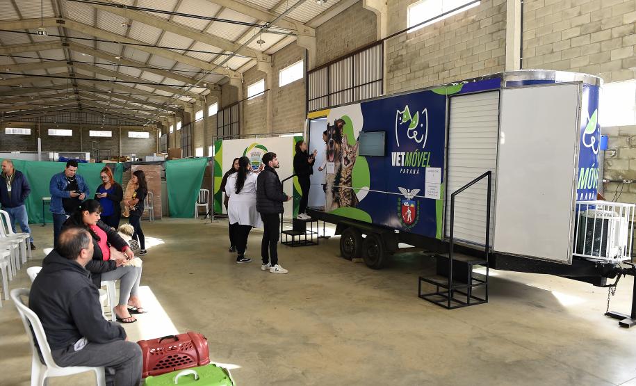 Foto de atendimentos veterinários
