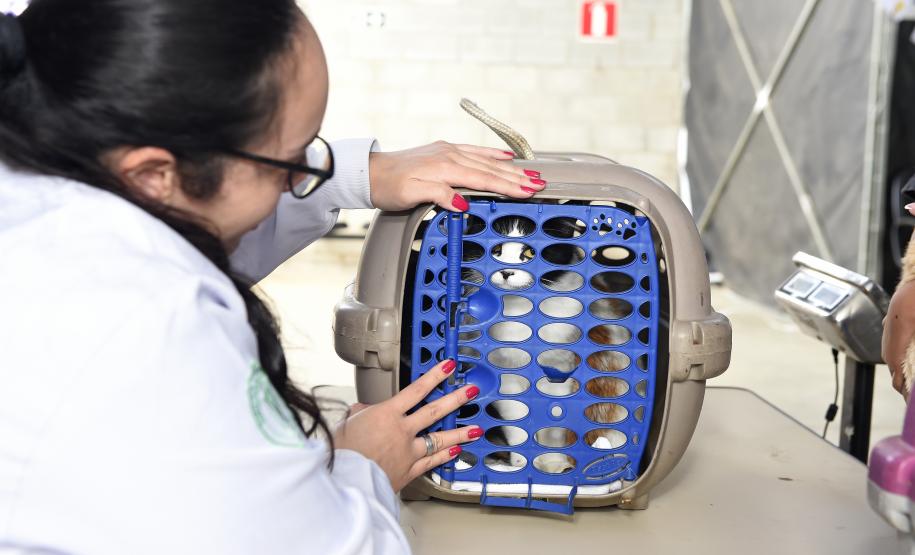 Foto de pessoas atendidas pelo Vet-móvel