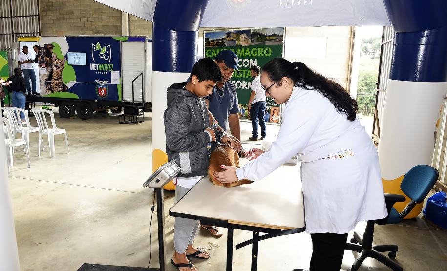 Foto de atendimentos veterinários