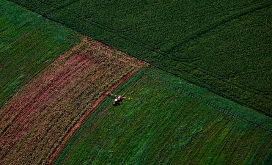 Foto aérea de plantação