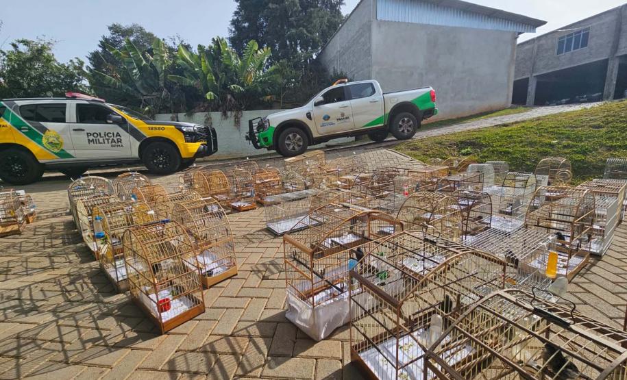 Foto de operação de fiscalização