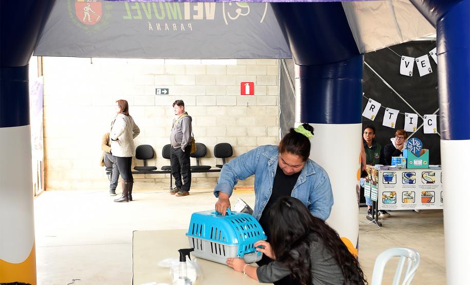 Foto de atendimentos do Vet-móvel Paraná