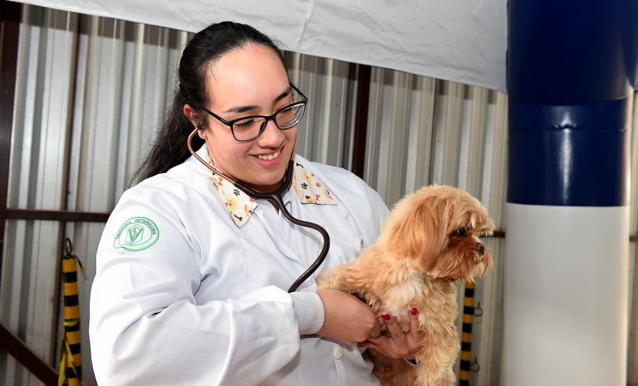 Foto de atendimentos do Vet-móvel Paraná