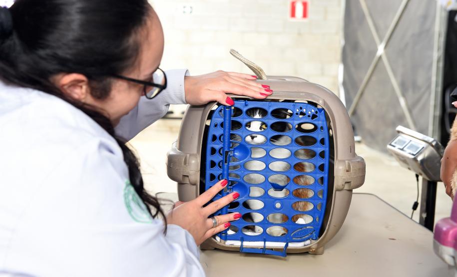 Foto de atendimentos do Vet-móvel Paraná
