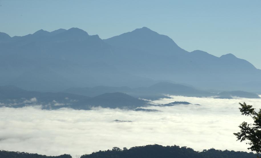 Foto de paisagem natural do Paraná
