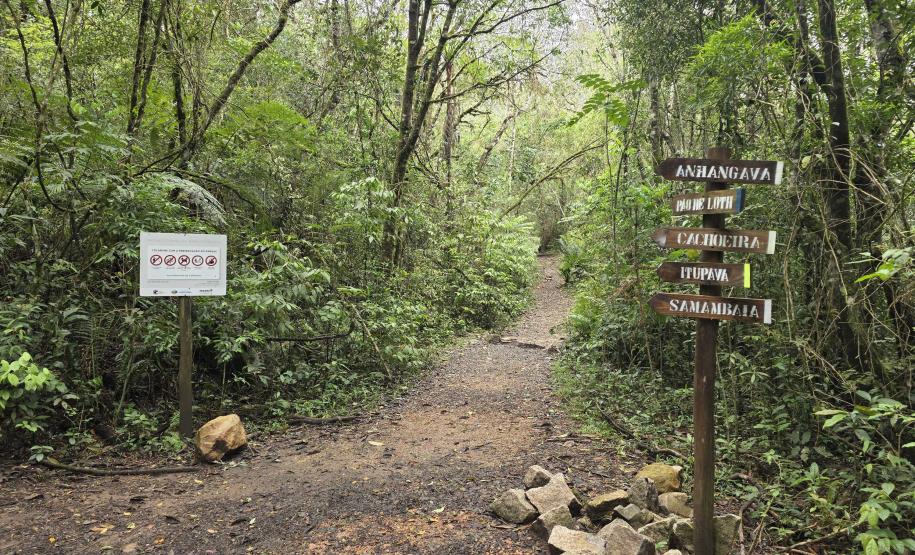 Foto do Parque Estadual da Baitaca