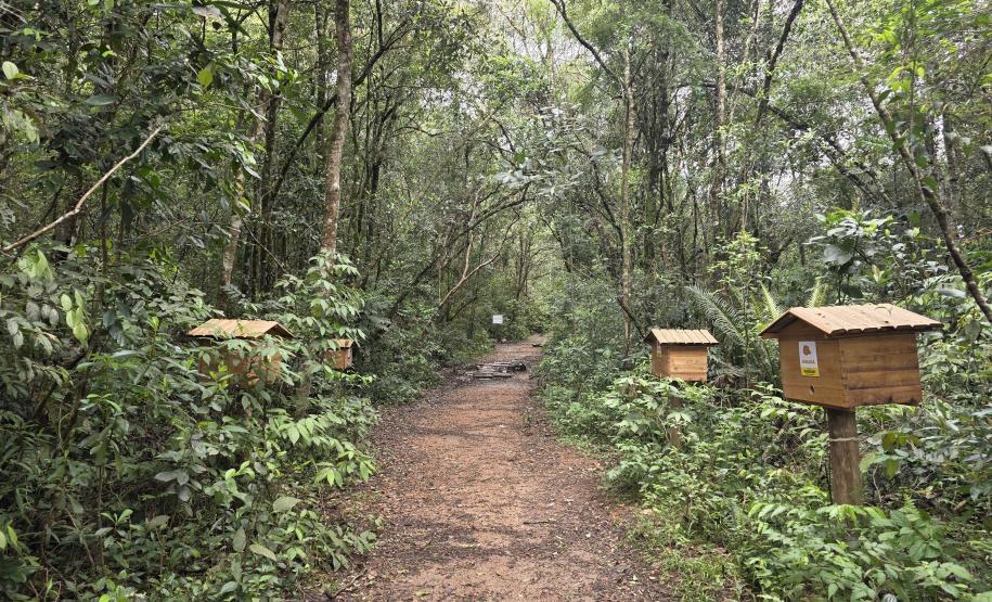 Foto do Parque Estadual da Baitaca