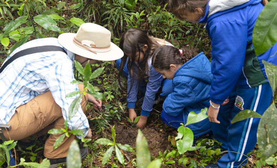 Foto de ações do do Educador Sustentável