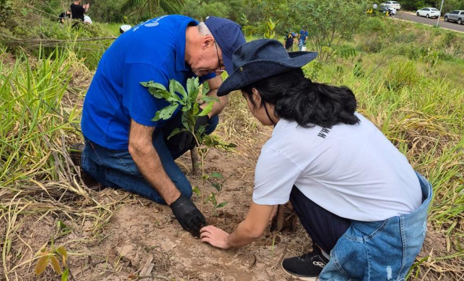 Foto de ação de plantio de mudas