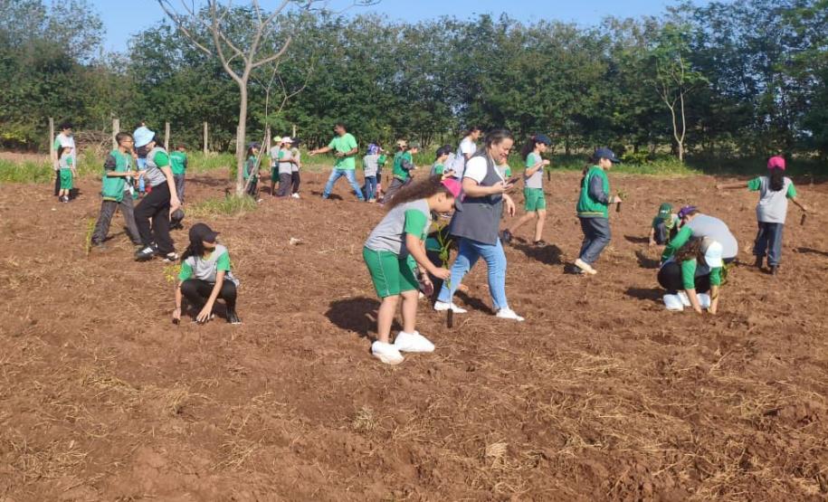 Foto de ação de plantio de mudas