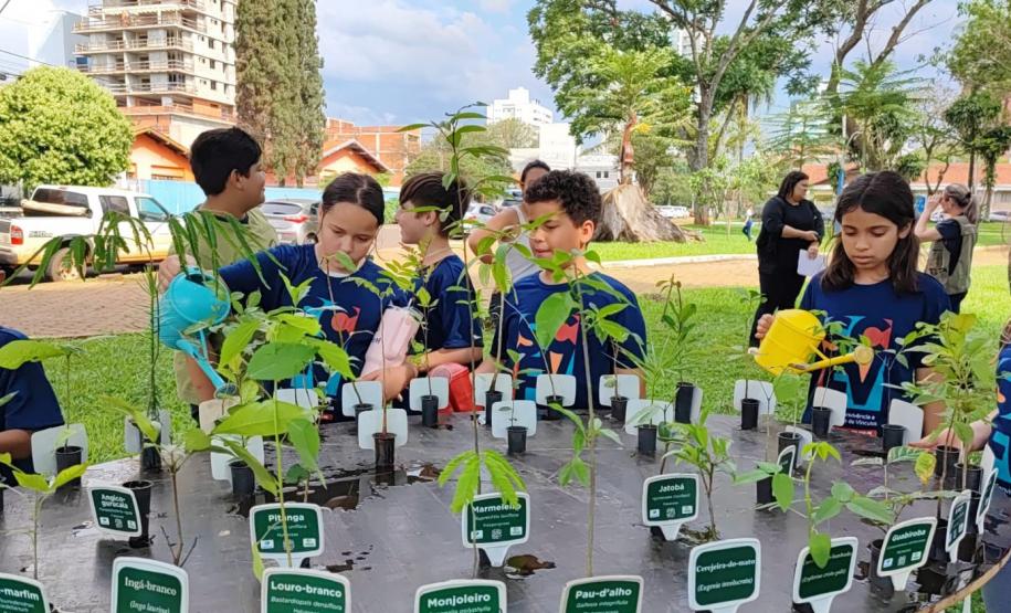 Foto de ação de plantio de mudas