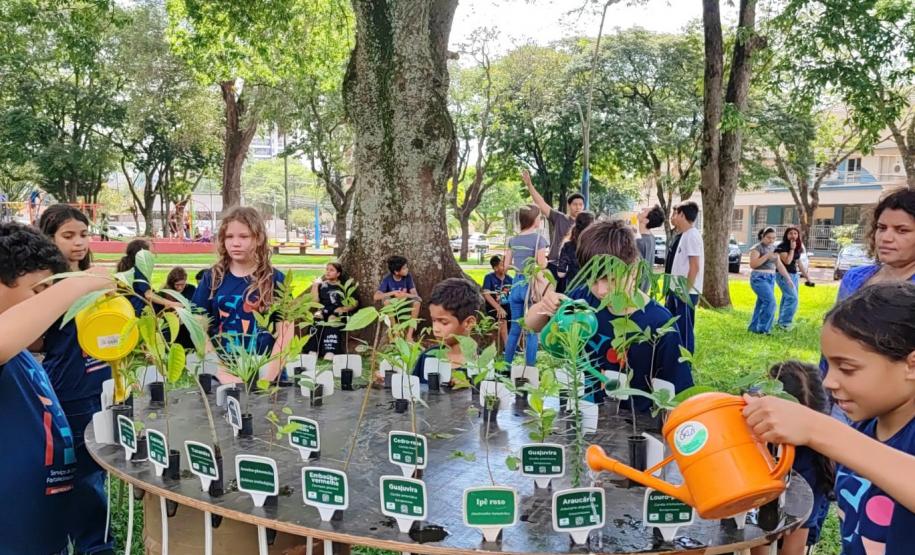 Foto de ação de plantio de mudas