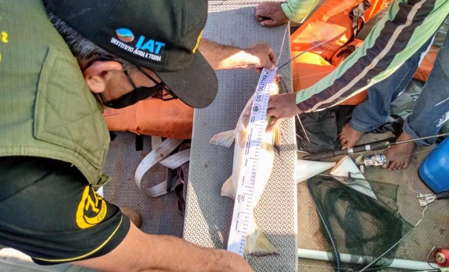 Foto de operação de fiscalização da Piracema