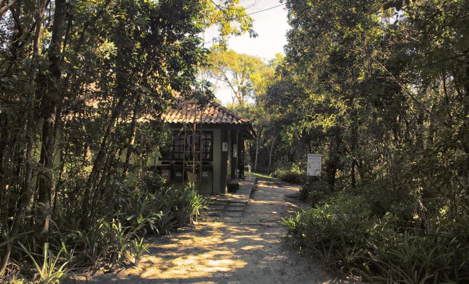 Foto de trilha do Parque Estadual Rio da Onça