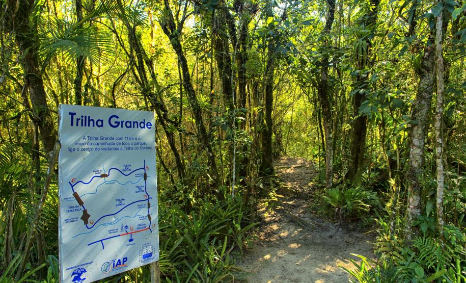 Foto de trilha do Parque Estadual Rio da Onça