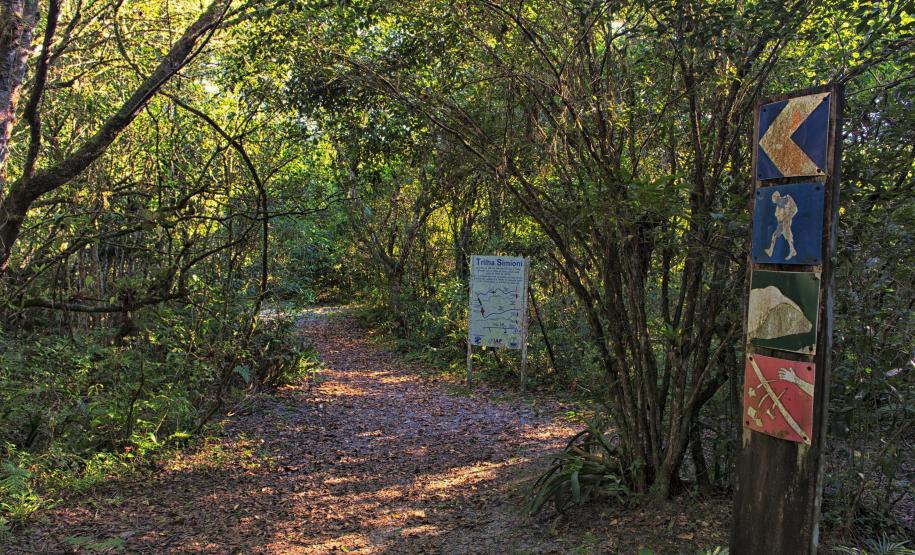 Foto de trilha do Parque Estadual Rio da Onça