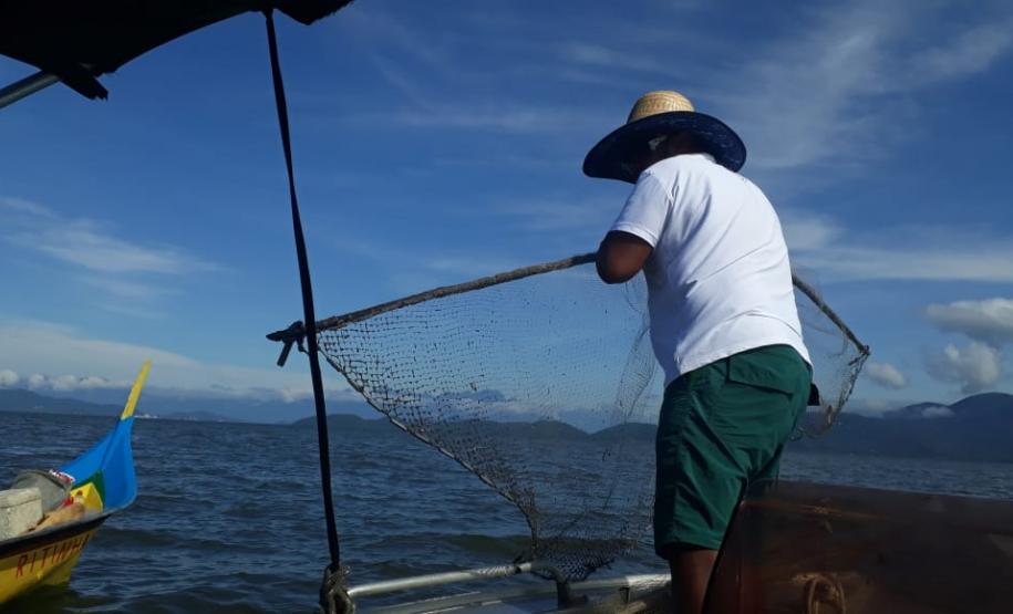 Piracema termina nesta sexta-feira no Paraná