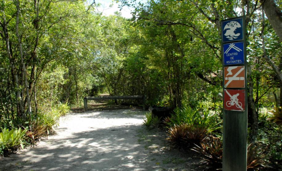 Governo reforça ação contra febre amarela nos parques estaduais