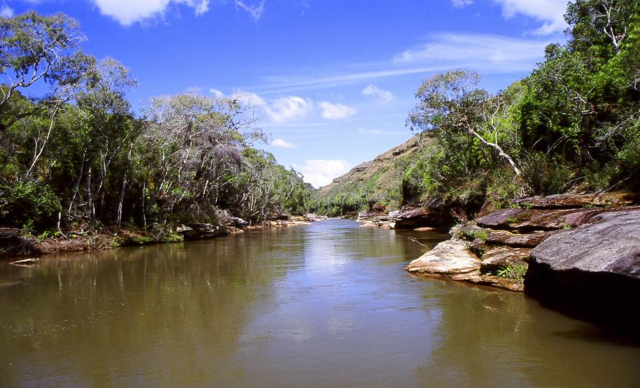 Estado promove ações pelo Dia Mundial da Água