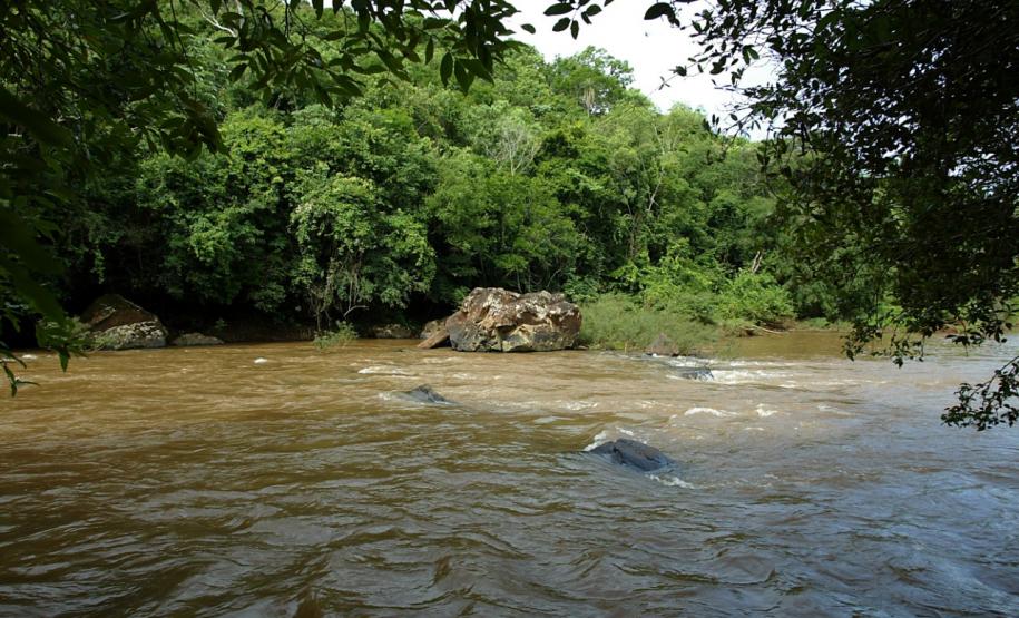 Pesca no Rio Piquiri está liberada a partir deste sábado