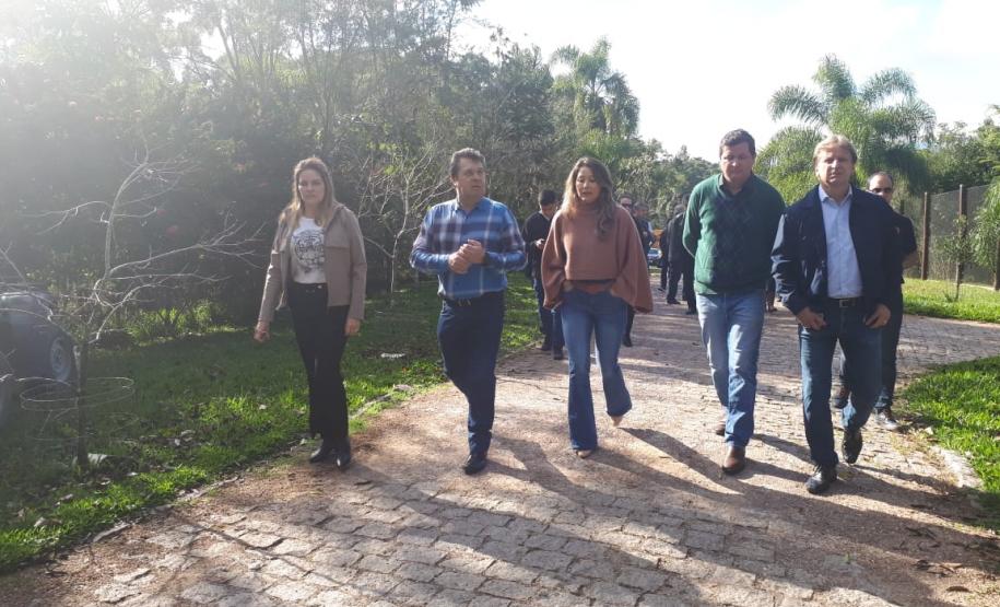 Aves apreendidas em fiscalizações são devolvidas à natureza