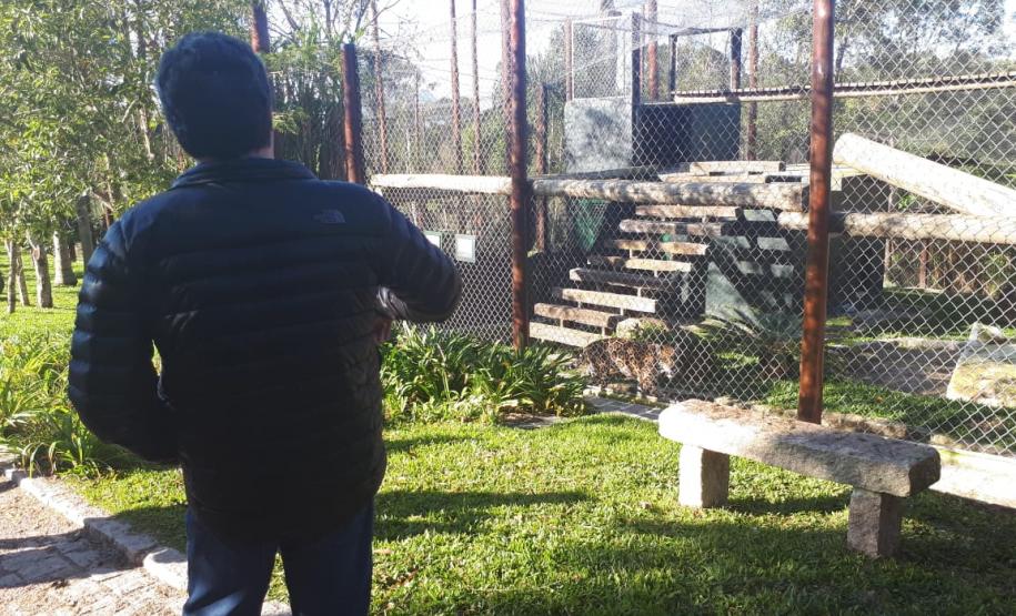 Aves apreendidas em fiscalizações são devolvidas à natureza