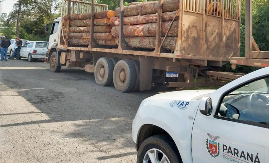 IAP apreende madeira de corte ilegal de vegetação nativa IAP apreende madeira de corte ilegal de vegetação nativa