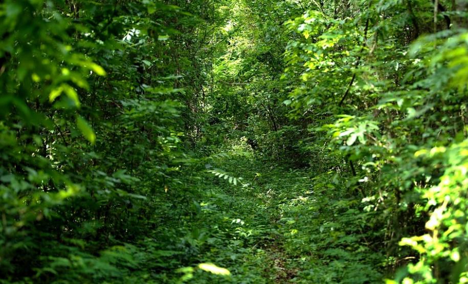 15 parques estaduais oferecem atividades especiais no domingo 15 parques estaduais oferecem atividades especiais no domingo
