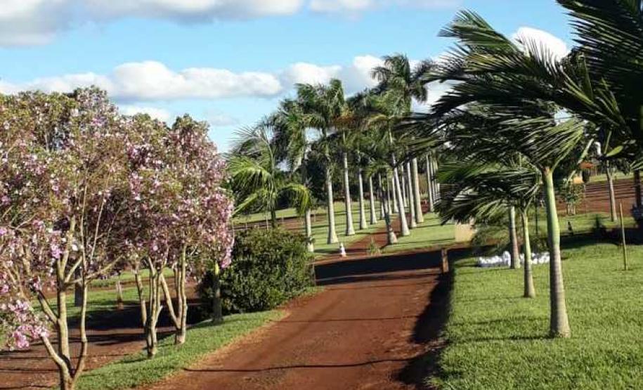 15 parques estaduais oferecem atividades especiais no domingo 15 parques estaduais oferecem atividades especiais no domingo