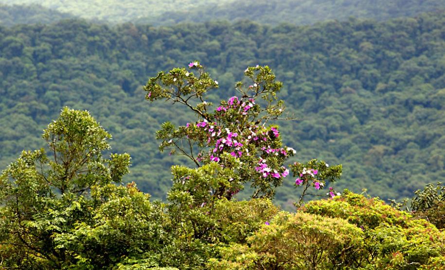 15 parques estaduais oferecem atividades especiais no domingo 15 parques estaduais oferecem atividades especiais no domingo