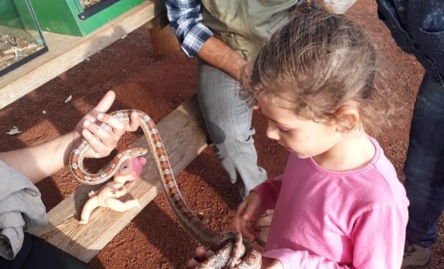 Campanha leva 5,6 mil pessoas aos parques estaduais do Paraná Campanha leva 5,6 mil pessoas aos parques estaduais do Paraná