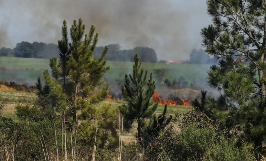 Bombeiros reforçam alertas para evitar queimadas Bombeiros reforçam alertas para evitar queimadas