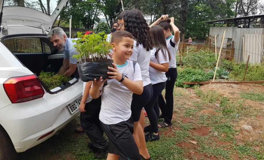 Envio de mudas às escolas mobiliza mais de 3 mil pessoas