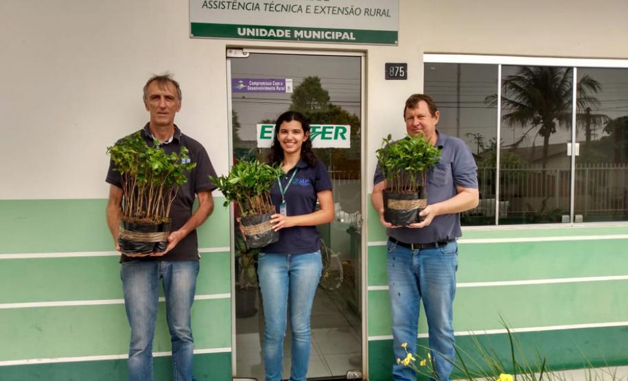 Envio de mudas às escolas mobiliza mais de 3 mil pessoas