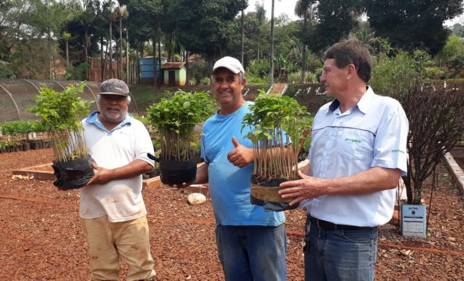 Envio de mudas às escolas mobiliza mais de 3 mil pessoas