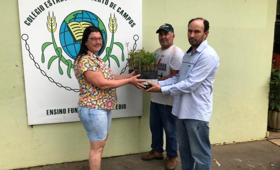 Envio de mudas às escolas mobiliza mais de 3 mil pessoas