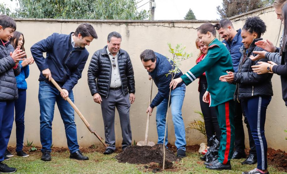 Paraná Mais Verde planta 413 mil árvores nativas Paraná Mais Verde planta 413 mil árvores nativas