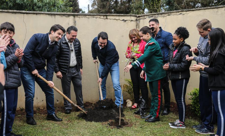 Paraná Mais Verde planta 413 mil árvores nativas Paraná Mais Verde planta 413 mil árvores nativas