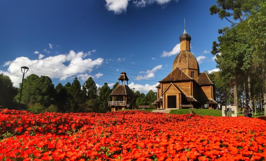 Campos de flores no Paraná encantam turistas Campos de flores no Paraná encantam turistas