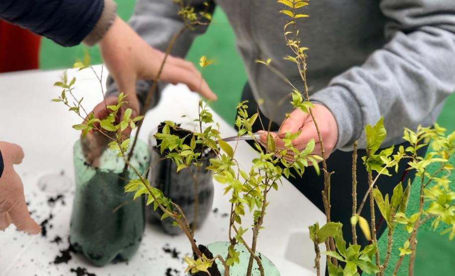 IAP vai participar do projeto Águas da Serra