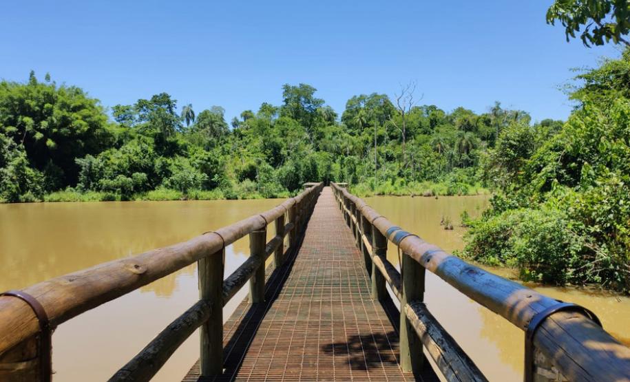 Parque Estadual São Camilo comemora 35 anos