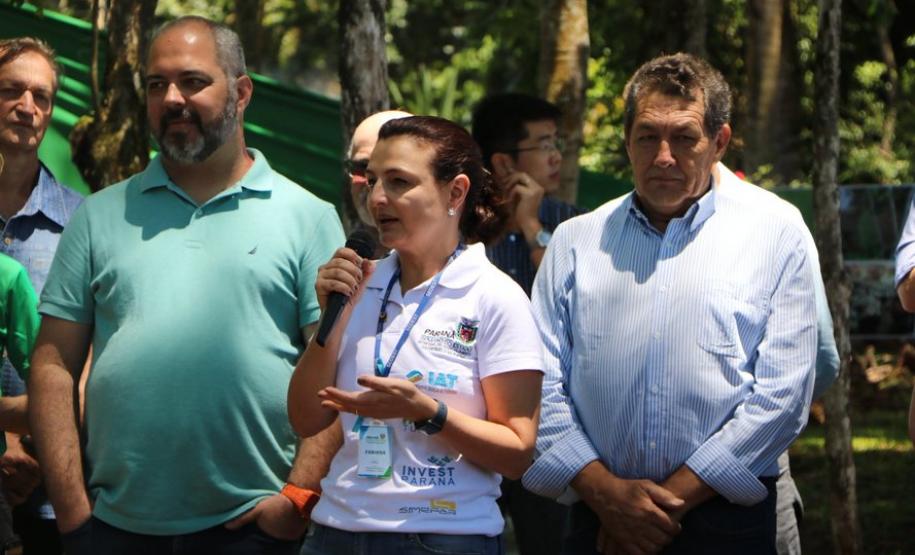 Parque Estadual São Camilo comemora 35 anos