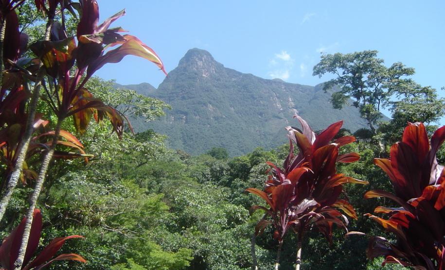 Novo instituto incorpora órgãos ambientais do Paraná