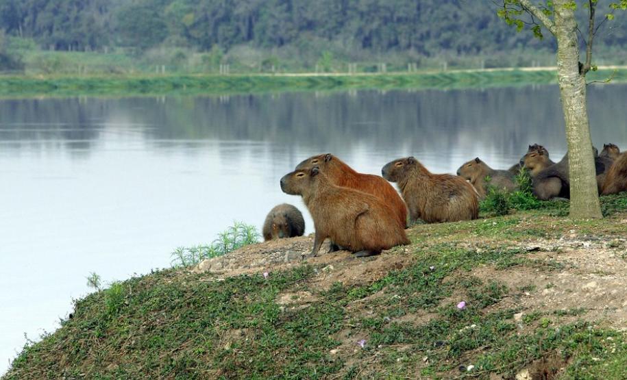 Resolução define normas de uso do entorno de reservatórios artificiais