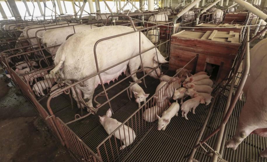 Interior terá rodada de palestras sobre o Descomplica Rural