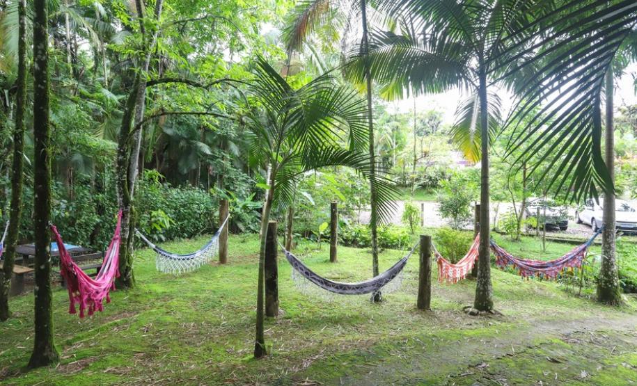 Circuito em torno do Pico Paraná é novo atrativo do Litoral Circuito em torno do Pico Paraná é novo atrativo do Litoral