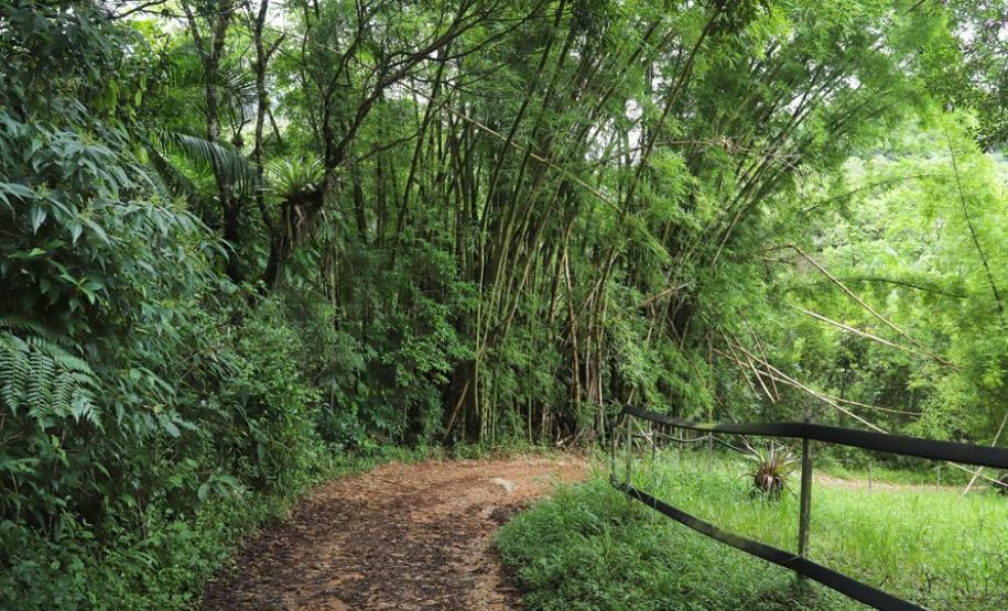 Circuito em torno do Pico Paraná é novo atrativo do Litoral Circuito em torno do Pico Paraná é novo atrativo do Litoral