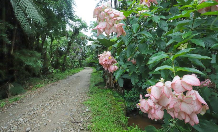 Circuito em torno do Pico Paraná é novo atrativo do Litoral Circuito em torno do Pico Paraná é novo atrativo do Litoral